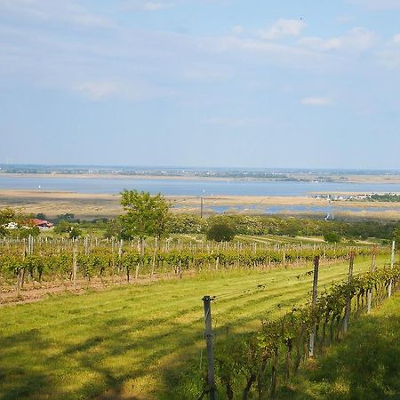 Haus Margarethe Hotel Morbisch am See Bagian luar foto
